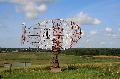 [ pilt: IMG_0002 X.JPG ]